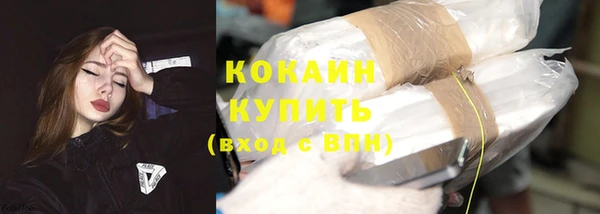 сатива Навашино