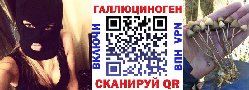 Псилоцибиновые грибы Psilocybine cubensis  Тулун 