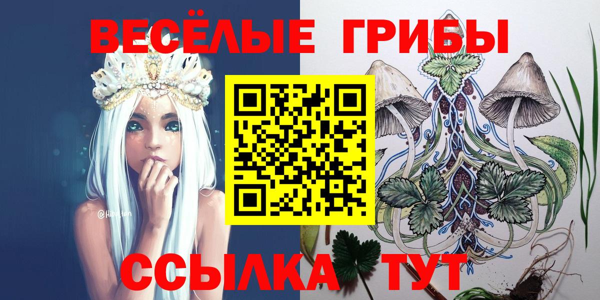 Галлюциногенные грибы ЛСД Тулун