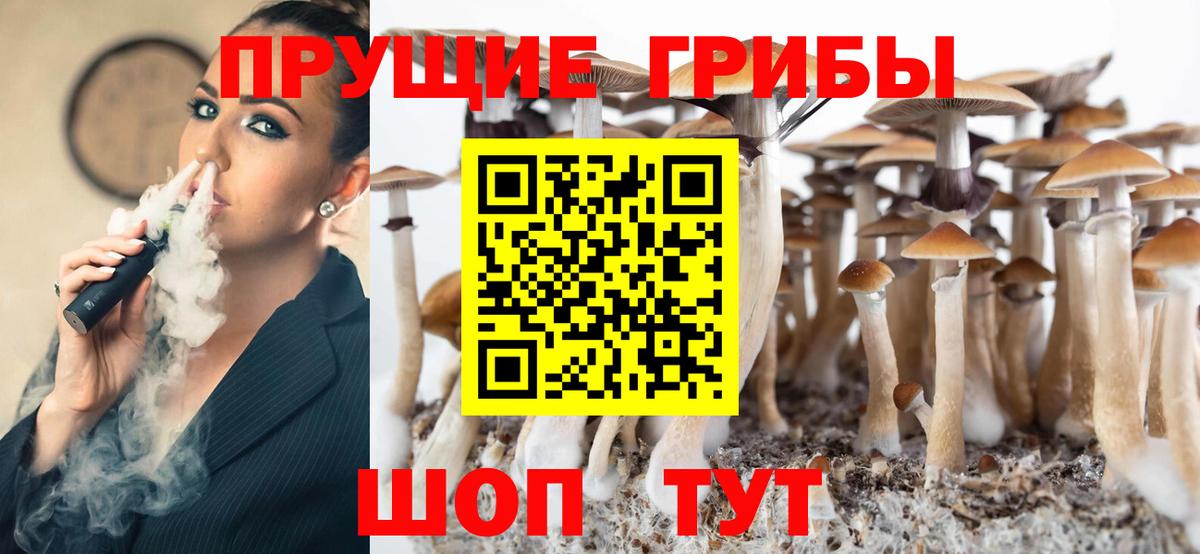 Галлюциногенные грибы Psilocybine cubensis  Вход с VPN  Тулун 