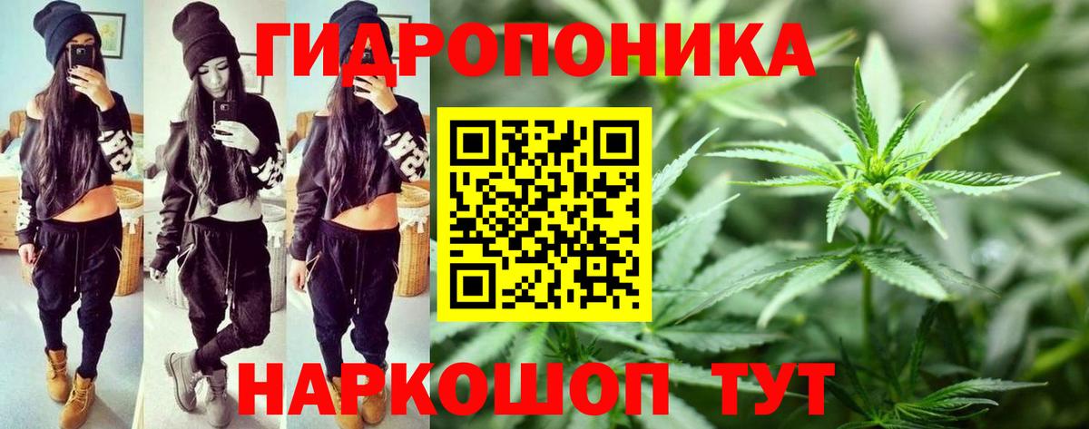 Бошки марихуана MAZAR  Вход с VPN  Марихуана Bruce Banner  Тулун 